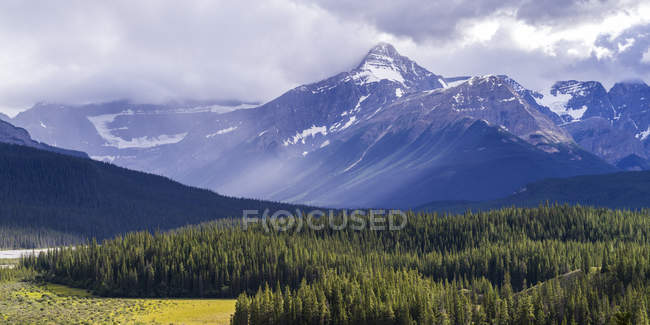 Montañas rocosas canadienses robustas con un bosque en el valle; Alberta, Canadá - foto de stock