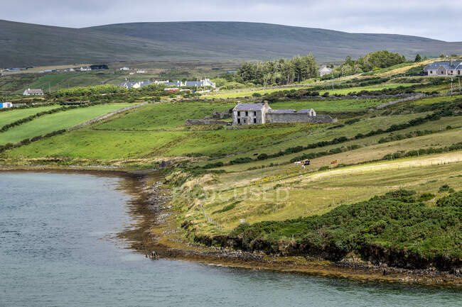 Узбережжя Дикого Атлантичного Шляху з сільськогосподарськими угіддями та будинками; Гленамой, графство Майо, Ірландія. — стокове фото