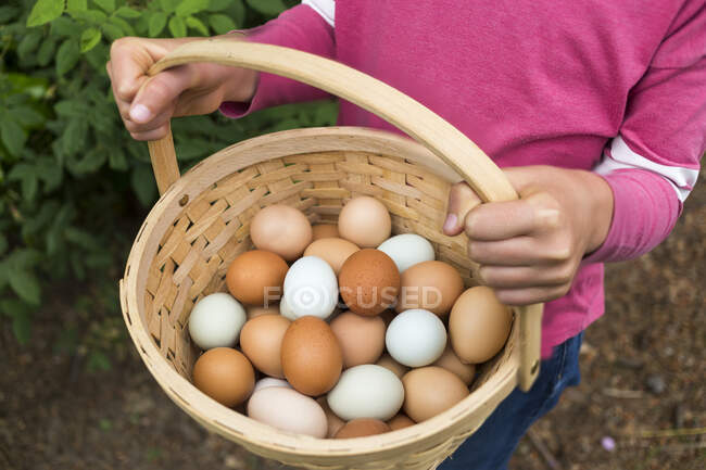 Girl holding a basket of fresh eggs; Salmon Arm, British Columbia, Canada — Stock Photo