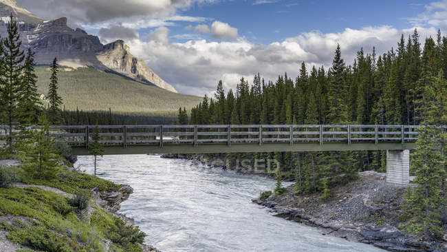 Sendero del puente que cruza un río hacia un bosque en las Montañas Rocosas Canadienses, Parque Nacional Banff; Distrito de Mejoramiento No. 9, Alberta, Canadá - foto de stock