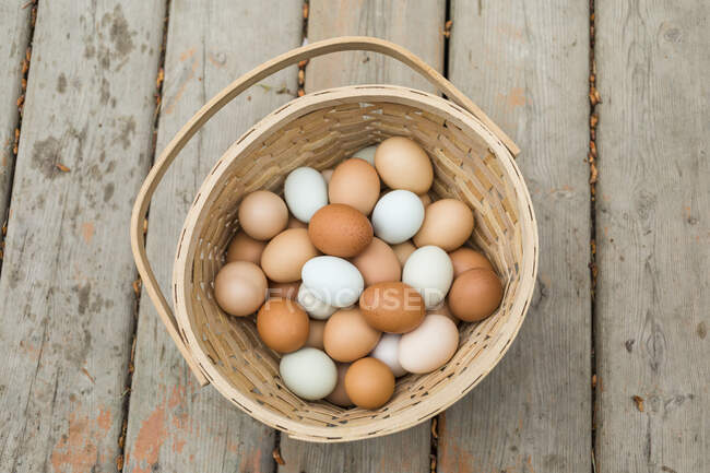 Basket of fresh eggs; Salmon Arm, British Columbia, Canada — Stock Photo