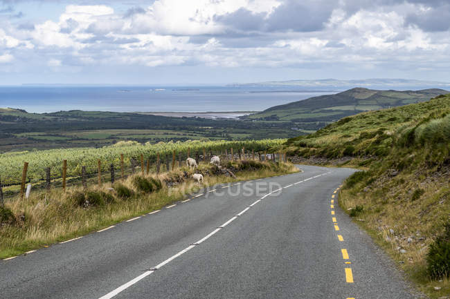 Roadside with a view of the ocean, Castlegregory, County Kerry, Ireland — Stock Photo