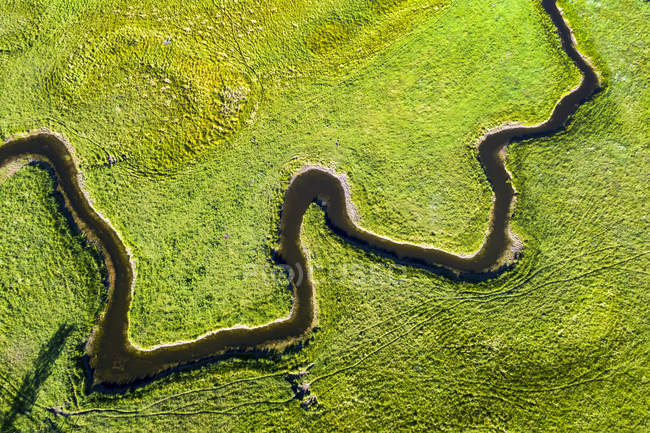 Luftaufnahme mit direktem Blick auf einen gewundenen Bach in einem grünen Feld in der Nähe von Millerville; alberta, Kanada — Stockfoto
