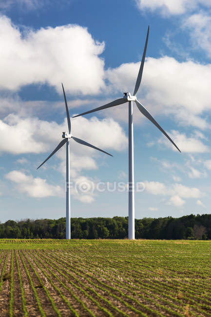 Dois grandes moinhos de vento de metal em um campo de soja com céu azul e nuvens, a oeste de Port Colborne; Ontário, Canadá — Fotografia de Stock
