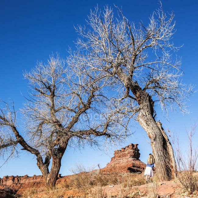 Una mujer se apoya contra un árbol mirando la formación de arenisca de los Siete Marineros, Valle de los Dioses; Utah, Estados Unidos de América - foto de stock