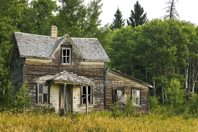 Vecchia casa in legno in alto campo erboso con alberi sullo sfondo; Erickson, Manitoba, Canada — Foto stock