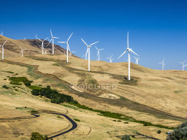 Wind turbines on a hilly landscape on a wind farm; Washington, United States of America — Stock Photo