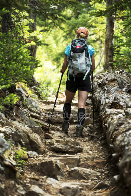 Caminhante feminina examinando um caminho rochoso na floresta; Colúmbia Britânica, Canadá — Fotografia de Stock