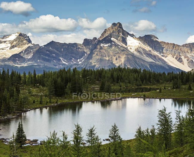 Alpine lake in a mountain meadow with mountain range, blue sky and clouds in the background; British Columbia, Canada — Stock Photo