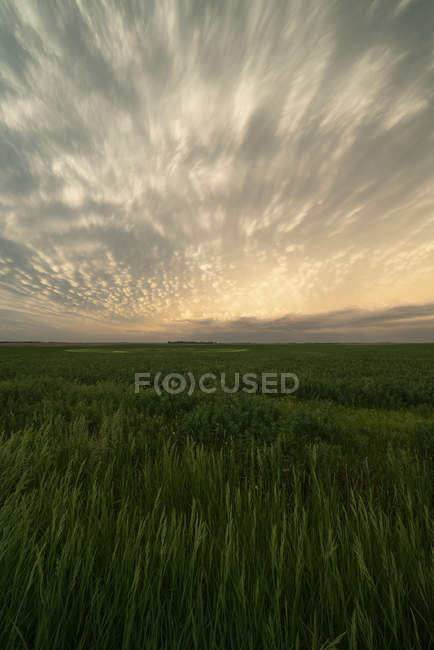 Dramatic sky over the landscape during storm in the midwest of the United States, Kansas, United States of America — Stock Photo