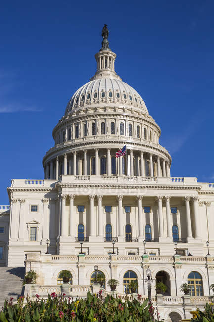 United States Capitol Building, Washington D.C., Stati Uniti d'America — Foto stock
