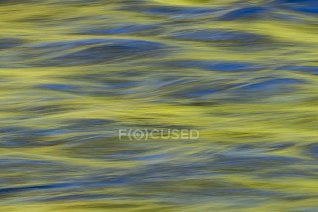 Image abstraite du feuillage réfléchi dans l'eau en mouvement au lever du soleil — Photo de stock