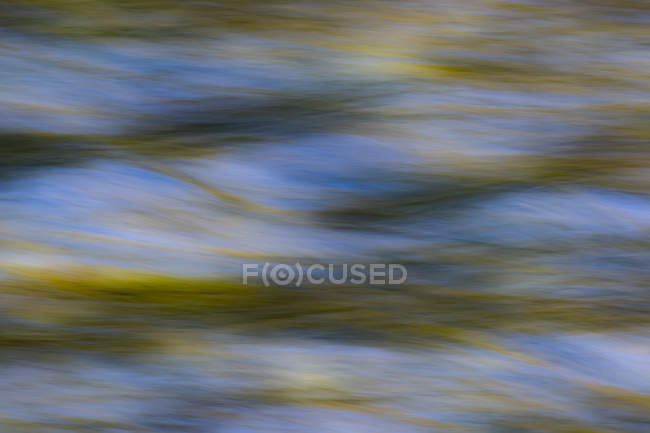 Immagine astratta del fogliame riflessa nell'acqua in movimento all'alba — Foto stock