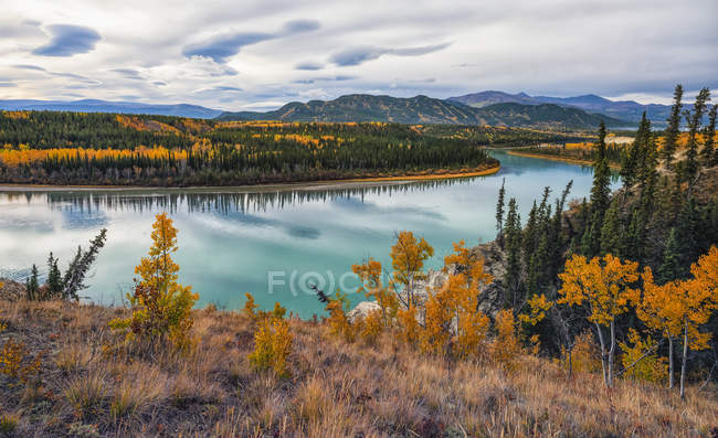 Bellissimo fiume Takhini, foresta e montagne, Whitehorse, Yukon, Canada — Foto stock