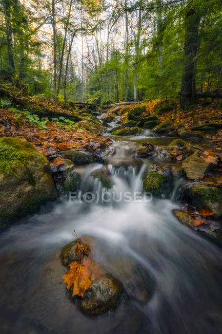 Água em cascata sobre rochas em uma paisagem de outono; Ontário, Canadá — Fotografia de Stock