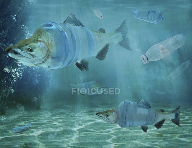 Риба і пластикові пляшки для води під водою, композитний образ — стокове фото