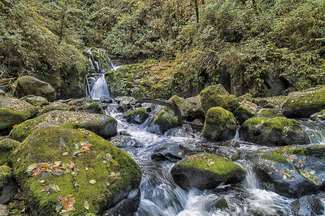 Seção superior de Sweet Creek Falls perto de Mapleton, Oregon, Estados Unidos da América — Fotografia de Stock