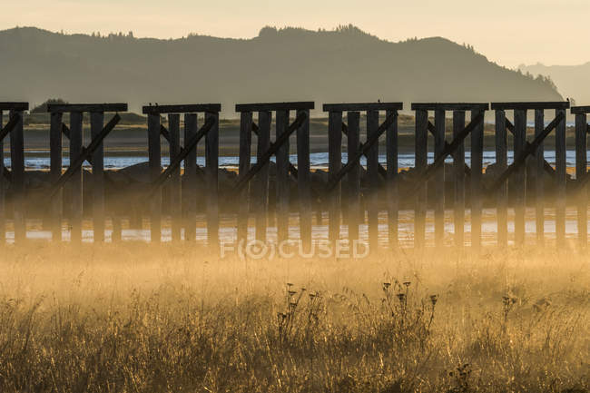 Old railroad trestle at Trestle Bay on the Oregon Coast; Hammond, Oregon, United States of America — Stock Photo