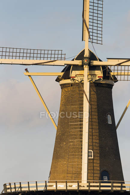 Vecchio mulino a vento in legno con calda luce del tramonto e cielo blu; Leida, Paesi Bassi — Foto stock
