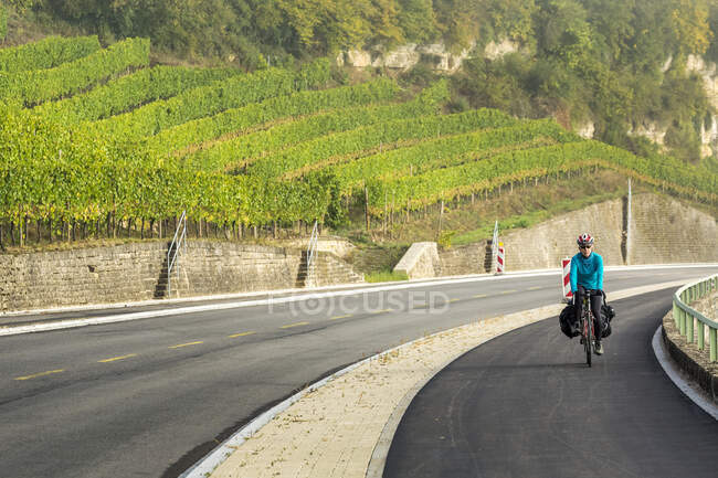 Female cyclist along a pathway with rolling hillside vineyards and mist in the river valley, North of Remich; Luxembourg — Stock Photo