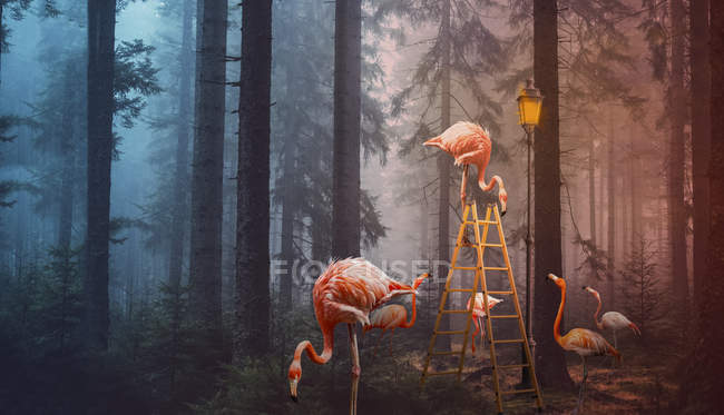A surreal composite image of flamingoes in a forest with a ladder and lamp post — Stock Photo