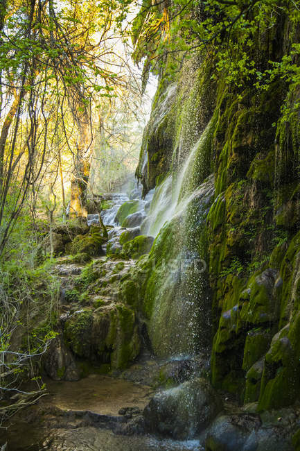 Moss covered rocks under Gorman Falls, Colorado Bend State Park; Texas, United States of America — Stock Photo