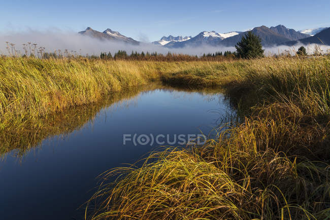 Ледник Менденхолл и башни, как туман рассеивается в болотах Менденхолла осенью; Джуно, Аляска, Соединенные Штаты Америки — стоковое фото