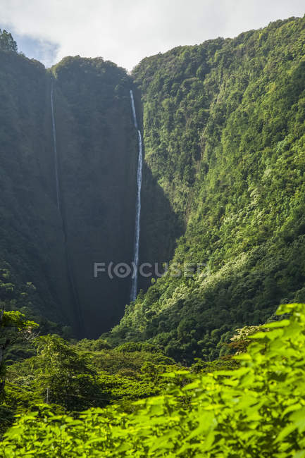 Vista panorámica de las cataratas de Hiilawe, detrás del valle de Waipio, costa de Hamakua cerca de Honokaa; isla de Hawaii, Hawaii, Estados Unidos de América - foto de stock