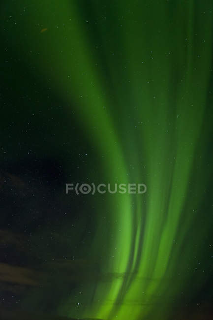 Northern Lights au-dessus du champ de glace Juneau, forêt nationale des Tongass ; Alaska, États-Unis d'Amérique — Photo de stock