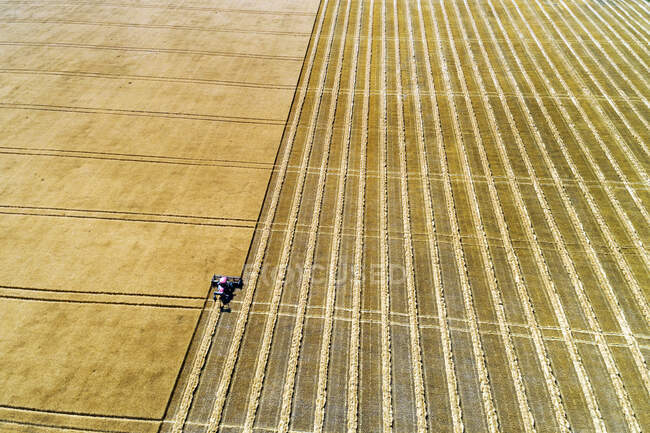 Vista aérea de um swather cortando um campo de cevada dourada com linhas de colheita; Beiseker, Alberta, Canadá — Fotografia de Stock