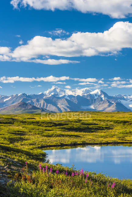 Аляскинский хребет, как видно с трассы McLaren Ridge Trail у Аляскинского шоссе в солнечный летний день в южной центральной части Аляски; Аляска, Соединенные Штаты Америки — стоковое фото
