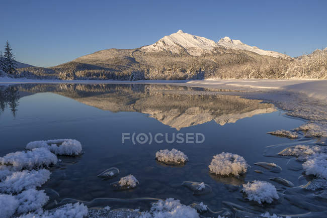 Après-midi d'hiver le long du rivage de la rivière Mendenhall, forêt nationale des Tongass ; Juneau, Alaska, États-Unis d'Amérique — Photo de stock