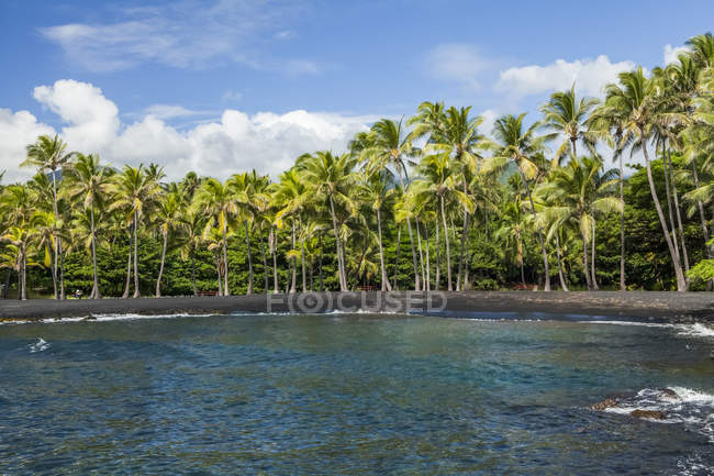 Punaluu Beach con spiaggia di sabbia nera fiancheggiata da palme lungo il bordo dell'acqua, Distretto di Kau, Isola delle Hawaii, Hawaii, Stati Uniti d'America — Foto stock