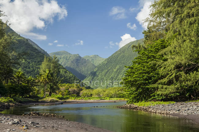 Valle y arroyo Waipio, Costa Hamakua, cerca de Honokaa; Isla de Hawái, Hawái, Estados Unidos de América - foto de stock
