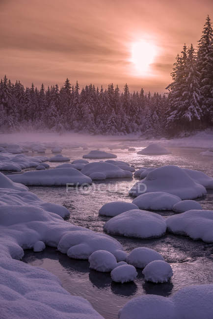 Зимовий день по берегах річки Менденхолл (національний ліс Тонгасс); Джуно (Аляска, США). — стокове фото