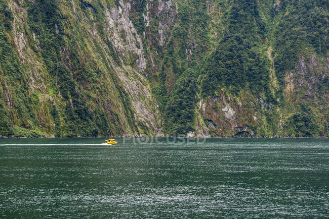 Barco de velocidade turística no Fiordland National Park, Milford Sound; South Island, Nova Zelândia — Fotografia de Stock