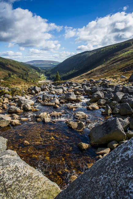 Ruisseau de montagne dans les collines de Wicklow, comté de Wicklow, Irlande — Photo de stock