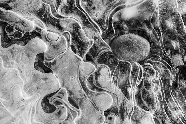 Los patrones intrincados se desarrollan como formas de hielo a lo largo de la costa de un pequeño estanque en el Bosque Nacional Alaskas Tongass; Alaska, Estados Unidos de América - foto de stock