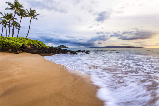 Una ola suave llega a la playa con palmeras en un día nublado; Makena, Maui, Hawaii, Estados Unidos de América - foto de stock