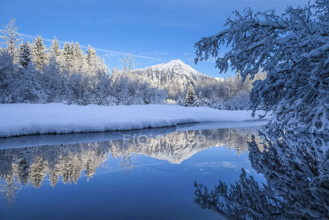 Одеяло из свежего снега покрывает ландшафт национального леса Тонгасс; Джуно, Аляска, США — стоковое фото