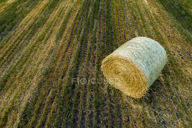 Hochwinkelaufnahme eines Heuballens in einem abgeschnittenen Feld, westlich von Calgary; alberta, Kanada — Stockfoto