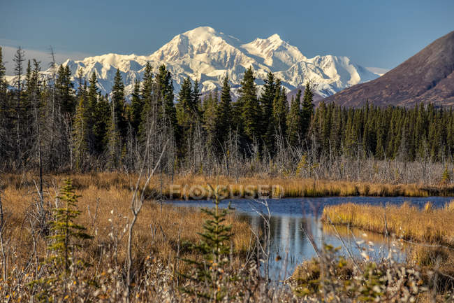Vista de Denali a partir do ombro Parks Highway, sul de Cantwell no interior Alaska, Alaska, Estados Unidos da América — Fotografia de Stock