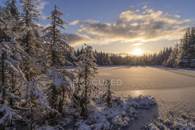 Premières chutes de neige dans la forêt nationale des Tongass ; Juneau, Alaska, États-Unis d'Amérique — Photo de stock