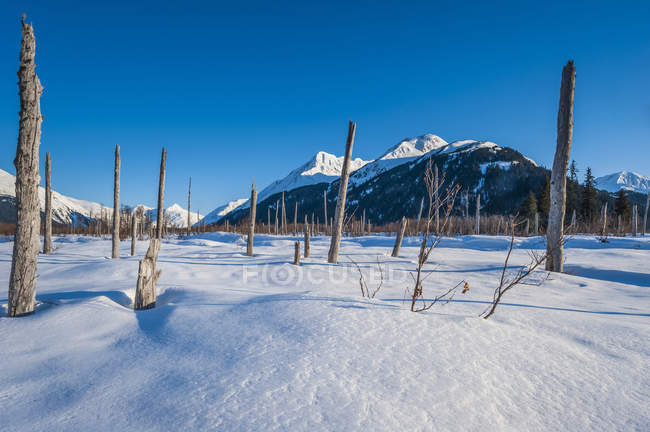 Paysage hivernal à Portage Valley, Alaska par une journée ensoleillée d'hiver, Alaska, États-Unis d'Amérique — Photo de stock