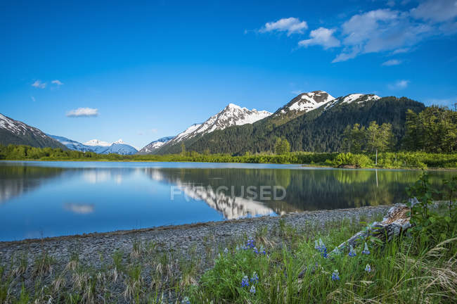 Спокойные воды на безымянном озере в Портедж-Вэлли, Аляска, Соединенные Штаты Америки — стоковое фото