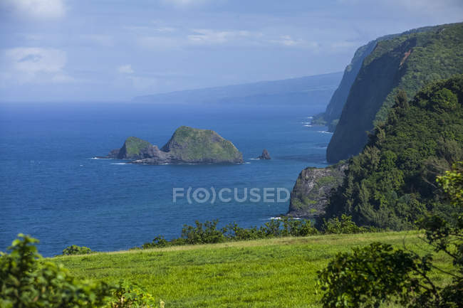 Vista panorâmica da Costa de Hamakua, perto de Pololu Valley; Ilha do Havaí, Havaí, Estados Unidos da América — Fotografia de Stock