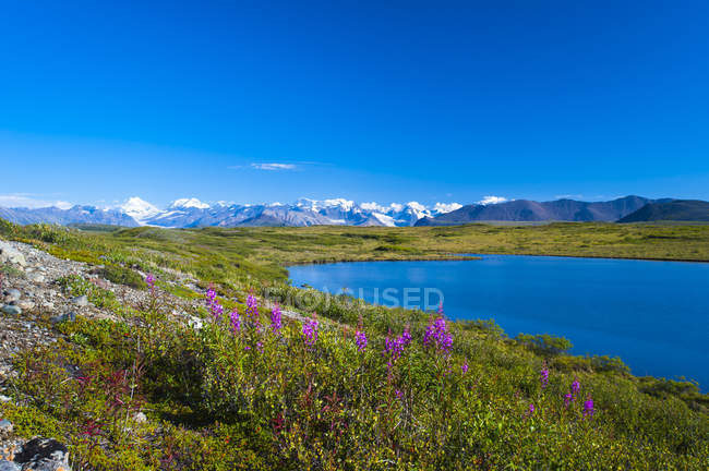 Alaska Range como visto a partir da McLaren Ridge Trail fora da estrada do Alasca em um dia ensolarado de verão no centro-sul do Alasca, Estados Unidos da América — Fotografia de Stock