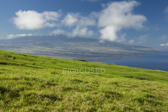 Pascolo terra su Parker Ranch, Kohala Mountain con Hualalai in lontananza, Isola delle Hawaii, Hawaii, Stati Uniti d'America — Foto stock