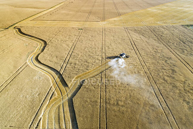 Vue aérienne d'une moissonneuse-batteuse récoltant un champ de blé doré avec des lignes coupées ; Beiseker, Alberta, Canada — Photo de stock