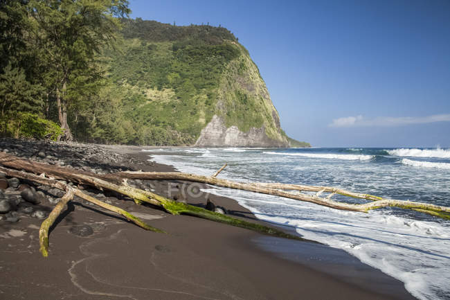 Plage de sable noir sur la côte Hamakua, vallée de Waipio, près de Honokaa ; île d'Hawaï, Hawaï, États-Unis d'Amérique — Photo de stock
